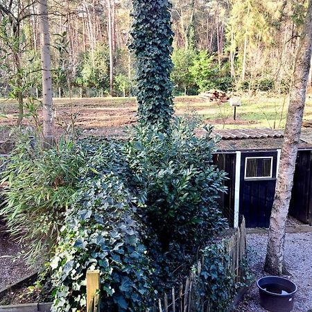 Comfortable Chalet In A Unique Location In Forest Essen المظهر الخارجي الصورة