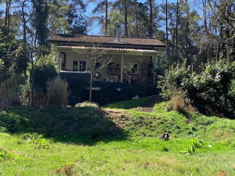 Comfortable Chalet In A Unique Location In Forest Essen المظهر الخارجي الصورة